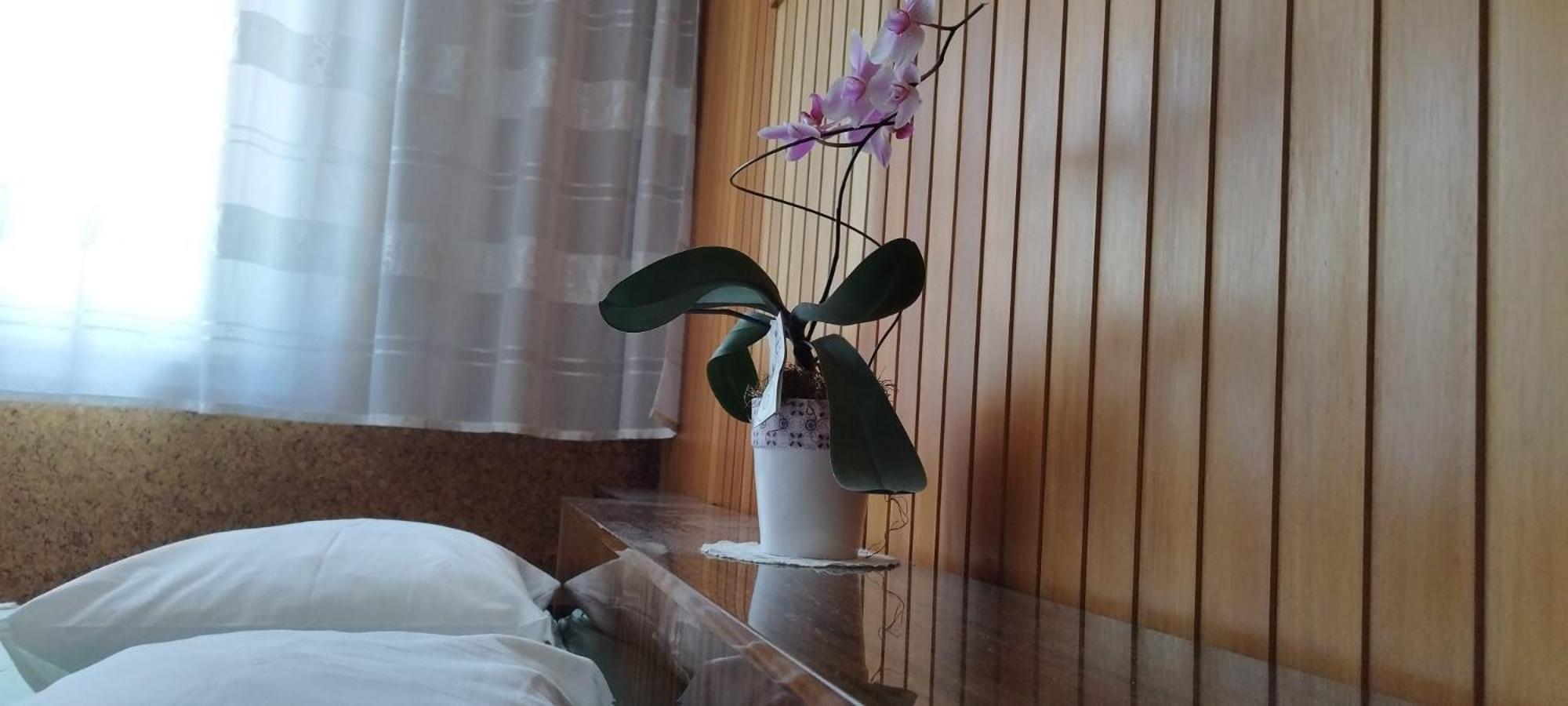 7 Flower Street Apartment Sempeter pri Gorici Ngoại thất bức ảnh